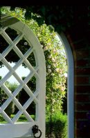 White arched gate in wall at Fudlers Hall, Mashbury Essex 