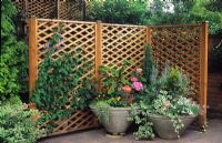 Portable trellis fences and concrete containers with colourful planting