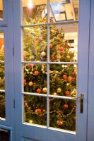 View to christmas tree inside house through french doors