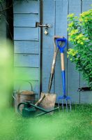 Spade and fork leaning up against blue wooden shed