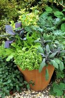 Herbs and vegetables in oval terracotta pot - Thymus x citriodorus 'Aureus' with Salvia officinalis 'Purpurascens', non hearting lettuce, red cabbage, red russian kale and Melissa officianalis