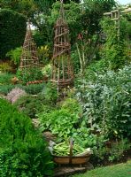 Broad beans in trug in the vegetable garden, with broad beans growing, Good King Henry, Thymus and decorative willow obelisks
