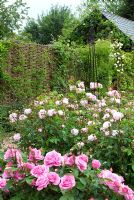 Rose garden with obelisk - foreground Rosa 'Gertrude Jekyll', centre Rosa 'Jacques Cartier' at Fiona Raymonds in Suffolk
