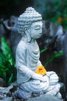 Buddha statue with yellow Nasturtium flower 