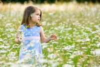 Little girl in a field of daisies holding a posy