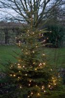 Christmas tree outside with fairy lights 