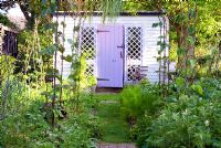 Painted garden shed in vegetable garden