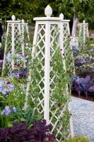 Painted obelisks with Lathyrus