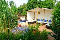 Moroccan style tent to create secluded summer seating. Agapanthus, Arundo donax in border