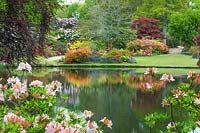 Azalea and Rhododendron and lake at Exbury Gardens, Hampshire, May
