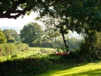 Childrens swing in tree with view of Devon countryside