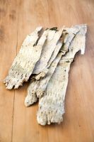 Making Christmas decorations from Silver Birch bark - 1. Sheets of flattened bark