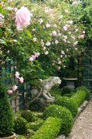 Rosa climbing on trellis in long narrow small formal garden with gravel path and Buxus topiary. Owner and designer Georgie Roberts, The Old School House, Great Bentley, Essex, UK
