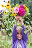 Young girl holding up bunch of colourful flowers - Dahlias, Sunflowers, Cosmos and Marigolds