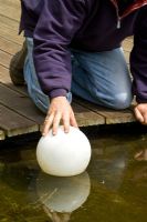 Preparing for winter by placing a football in a pond to stop it freezing over