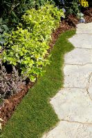 Detail of curvy clipped lawn edging a pathway
