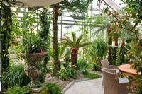 View into the glasshouse with tropical climate, wicker chairs and wooden table with a fruit arrangement. Planting includes Anthurium andreanum, Araucaria heterophylla, Beaucarnea recurvata, Billbergia nutans, Citrus sinensis, Cycas revoluta and Phoenix roebelinii - Wintergarten, Germany 
