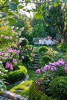 A pathway and steps that lead through box edged borders to a sitting area on an upper level of the garden are framed with Astilben, Hydrangea paniculata and Phlox paniculata