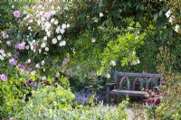 RHS garden Rosemoor, Devon - peaceful seating area in rose garden  
