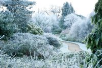 The winter garden with hoar frost - Cambridge University Botanic Gardens