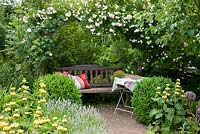 Wooden bench with cushions under a rose arch next to Rosa 'Lykkefund', Buxus,  Phlomis russeliana