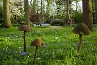 Toadstool sculptures in the Stumpery, Highgrove House, April 2010