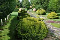 The Thyme Walk with Golden Yew Topiary, Highgrove Garden, August 2007.   