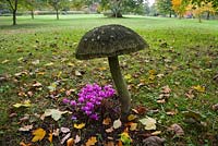 Pink Cyclamen and giant wooden mushroom sculpture in the Stumpery, Highgrove Garden, October 2007.  