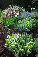 The Cottage Garden with spring tulips, Highgrove Garden, May 2009. 