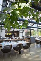Restaurant De Kas, Amsterdam with fig tree in the foreground