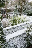 Small garden in snow, with box hedging edged path and conical topiary leading to garden seat