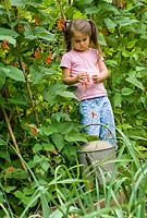 Young five year old girl with a Watering Can in vegetable garden.