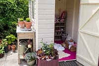 Garden shed used as childrens playhouse