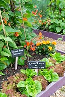 Raised beds in a small garden planted with lettuces. With mini blackboard labels