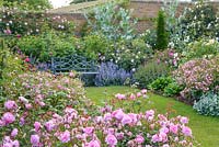 View of a walled rose garden with seat. David Austin Roses, Shropshire.