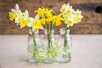 Floral arrangement of Narcissus in small glass jars