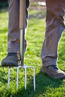 Lawn care - aerating lawn with garden fork in spring. 