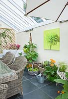 Conservatory with metal chair, wicker chairs and table and various containers planted with herbs, gerberas and melons