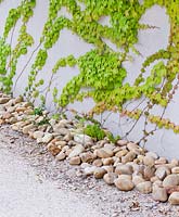Decorative stones at edge of path by wall 