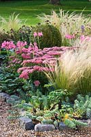The front garden in autumn with stipa tenuissima, sedum and nerines. Ulting Wick, Essex