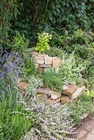 Planting includes Corsican Mint, Golden Feverfew, Rock Hyssop, Thymus serpyllum 'Pink Chintz', Thymus 'Silver Posie', Thymus 'Doone Valley', Common Sage, Origanum vulgare 'Compactum', Pineapple Mint, Chives and Rosemary 'Prostratus'