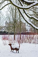 Sculpture of a dog in snow, the Stumpery, Highgrove Garden, January 2013.