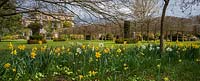 Highgrove Garden in Spring, April 2013. Daffodils and blossom near the House and Thyme walk