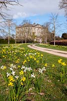 Highgrove House and the front drive lined with lime trees, and daffodils,  April 2013. The house was built between 1796 and 1798 in a Georgian neo classical design.