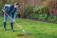 Woman raking moss from a garden lawn.
