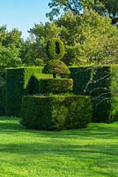 Topiary, The 'Lawn' Highgrove Garden, October 2013.