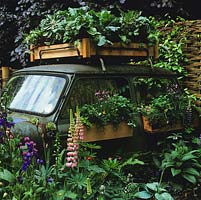 Decomissioned mini car has vegetables growing on its roof, and window boxes filled with herbs. Chelsea 2003.