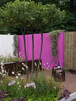 Calm retreat with white and pink walls and vertical fencing slats. A single Malus tree casts shade over bed of gaura, sanguisorba, mallow, heuchera and grasses.