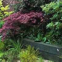 Raised bed, edged in railway sleepers, filled with ericaceous soil so that acid-living acers, azaleas and heathers grow in a garden with otherwise alkaline soil.