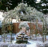Wire gazebo covered in a climbing rose coated in snow. In the centre, a collection of pots filled with skimmias and grasses.